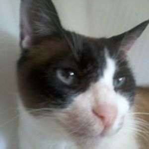 elenacol_2000 avatar