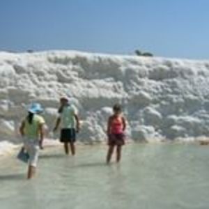 lynnsimpson61 avatar