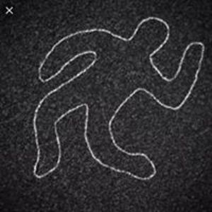 heidi_vogelbusch avatar