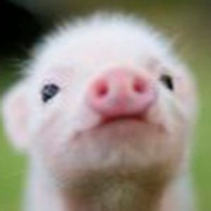 maramaparsons_1 avatar