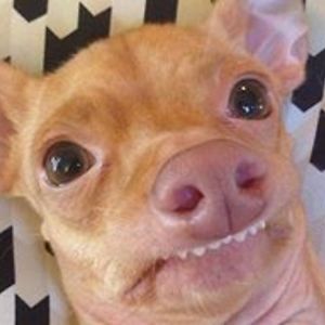 ericwillard127 avatar