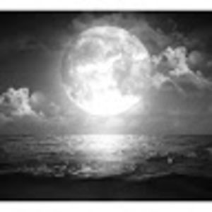 sammy_h_eliza avatar