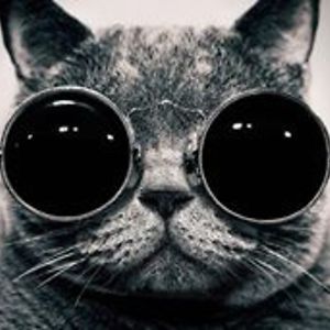 peter_isaac_blanton avatar