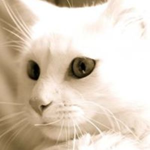 mares_lejanos avatar