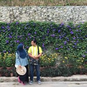 aini_abd_jamil avatar