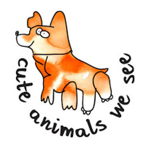 cuteanimalswesee avatar