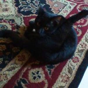 alexagarcia6641 avatar