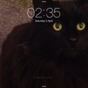 margaretejenkins3 avatar