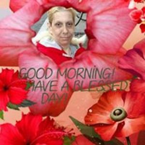 traindancerls55 avatar