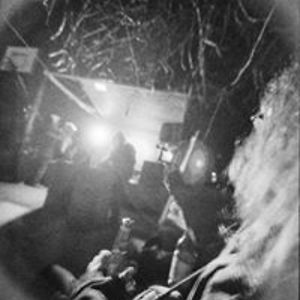 mojca_senegacnik avatar