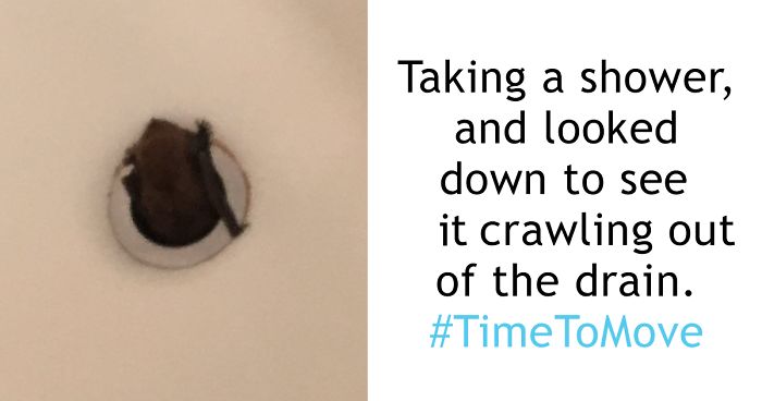 152 Of The Craziest Things That Made People Suddenly Realize It Was #TimeToMove
