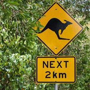 theresa_jansen avatar