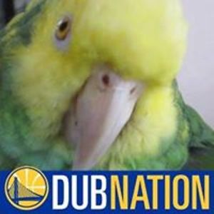 elizabethejjarvis avatar