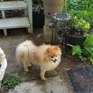 colleen_ramsdell avatar