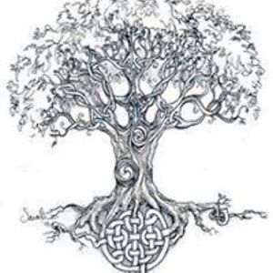 alison_tennent avatar