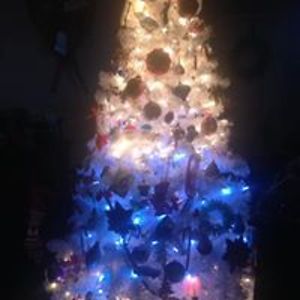 bonnie_morrison avatar