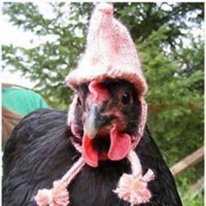 julie_collett avatar