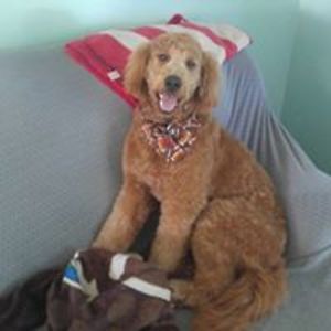 myrondavis24553 avatar