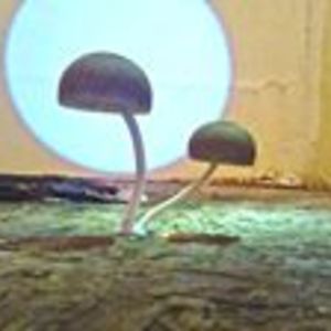 dbassdmandmon avatar