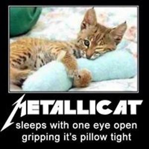 familymail7503 avatar