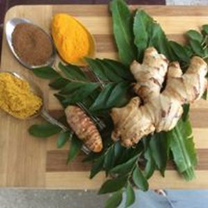 indiramulligan avatar