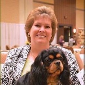 cavalierattitude avatar