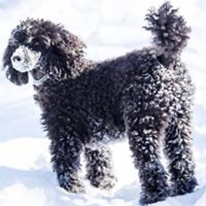 sendwordtotanya avatar