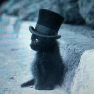 stephaniemorgan1373 avatar