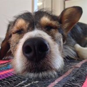 sebaai_mansour_naggar avatar