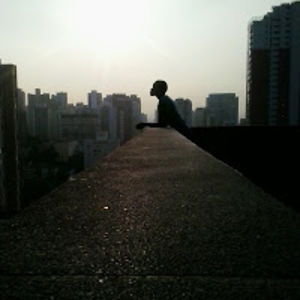 danielatoledo avatar