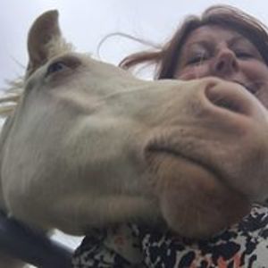 alancarolanne avatar