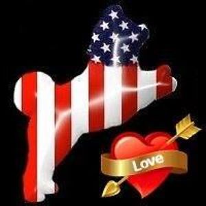 wandagoodfellow avatar