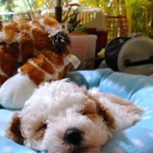 maxine_harrison avatar