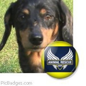 margaret_blackman avatar