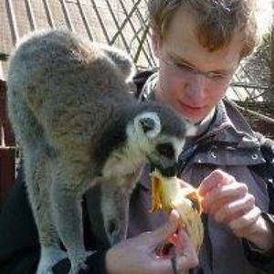 nilserikbirger avatar