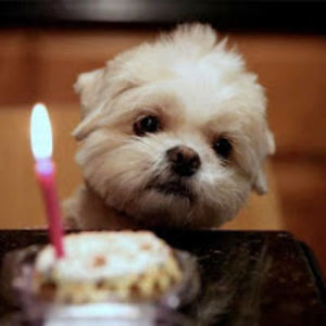 kesondrapickett avatar