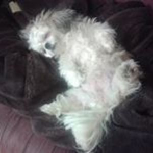 colleen_ellery avatar