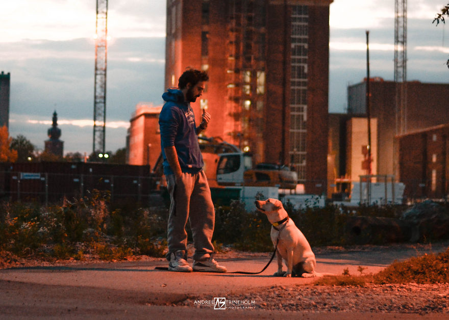 I've Taken A Picture Of My Husband And Our Labrador Every Trip In The Same Position