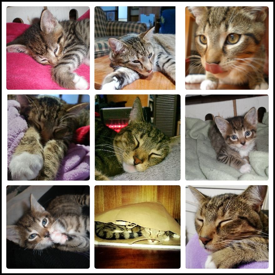 My Best Friend. My Best Friend.