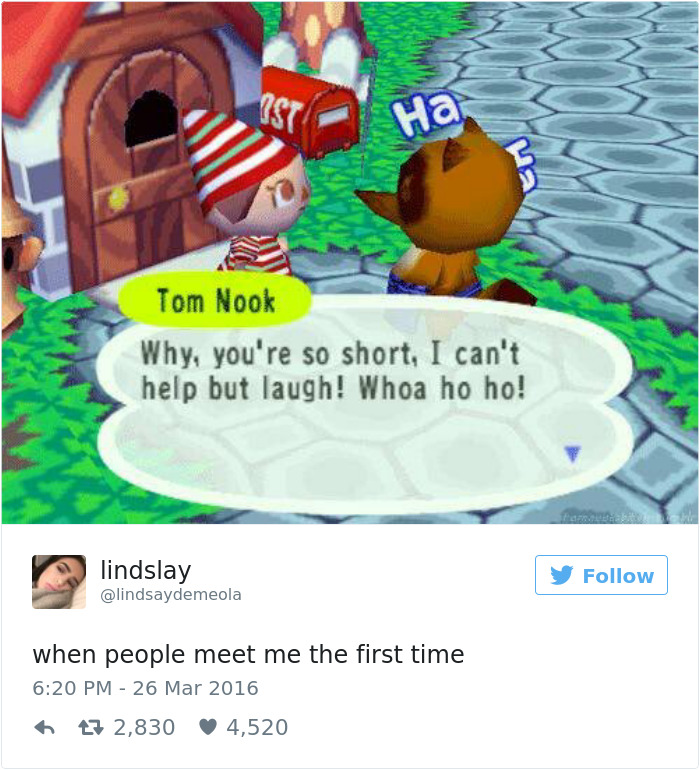 Tom Nook joking about short people problems in an Animal Crossing scene, with a tweet about first impressions.
