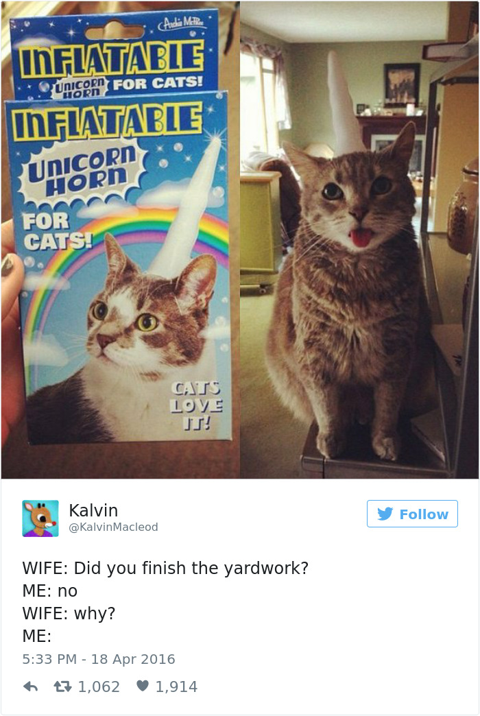 Funniest Marriage Tweets 2016