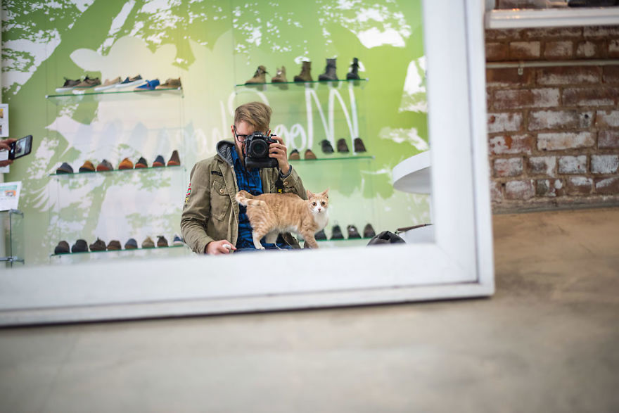 Shop Cats Of New York! Photographer Captures Cats In Shops All Over New York Shop Cats Of New York! Photographer Captures Cats In Shops All Over New York