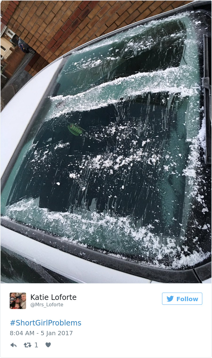 Car windshield partially cleared of snow with a small reach, illustrating short people problems.