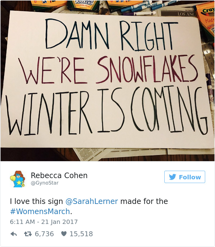 Women's March Signs