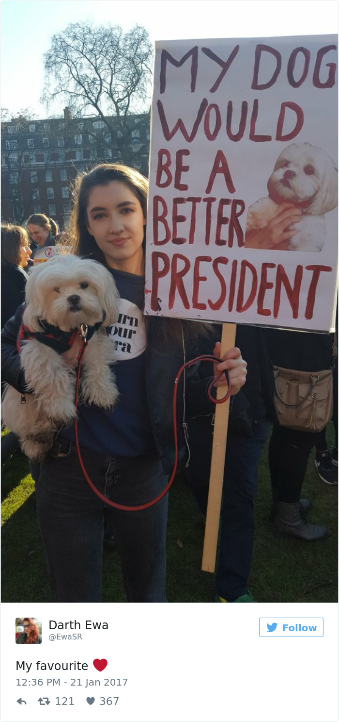 Women's March Signs