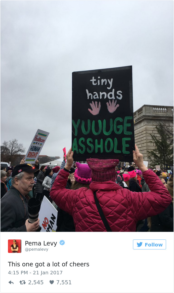 Women's March Signs