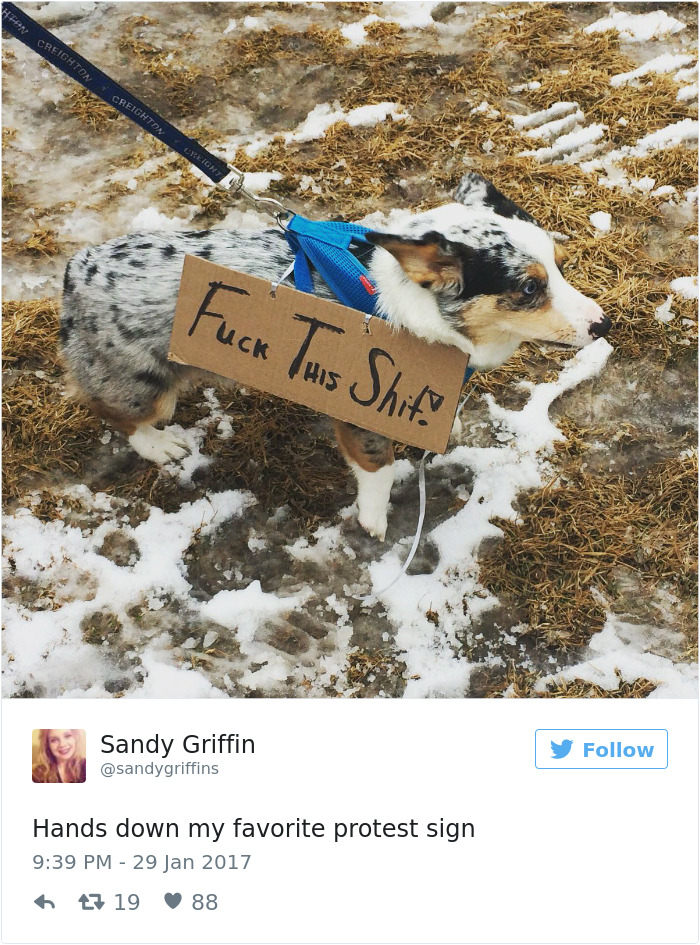 20+ Of The Best Signs From Muslim Ban Protests