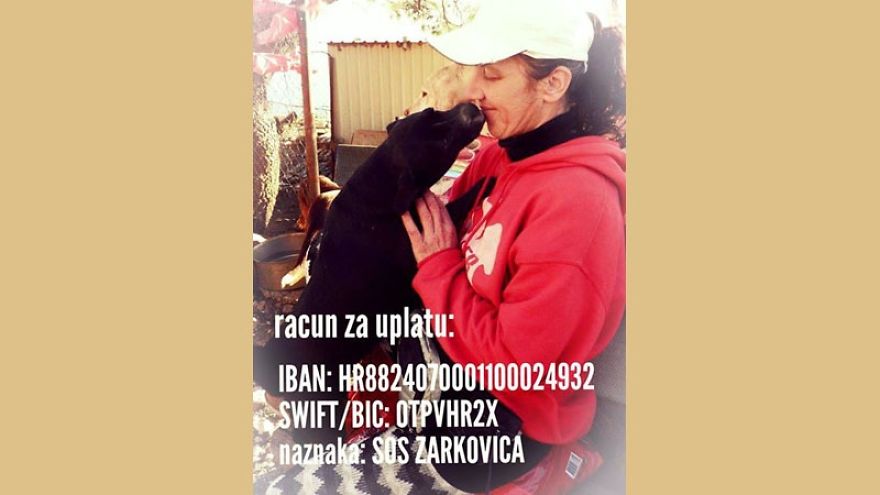 Years Spent Living With Over 300 Dogs On A Hill Above Dubrovnik, Sos Žarkovica Years Spent Living With Over 300 Dogs On A Hill Above Dubrovnik, Sos Žarkovica