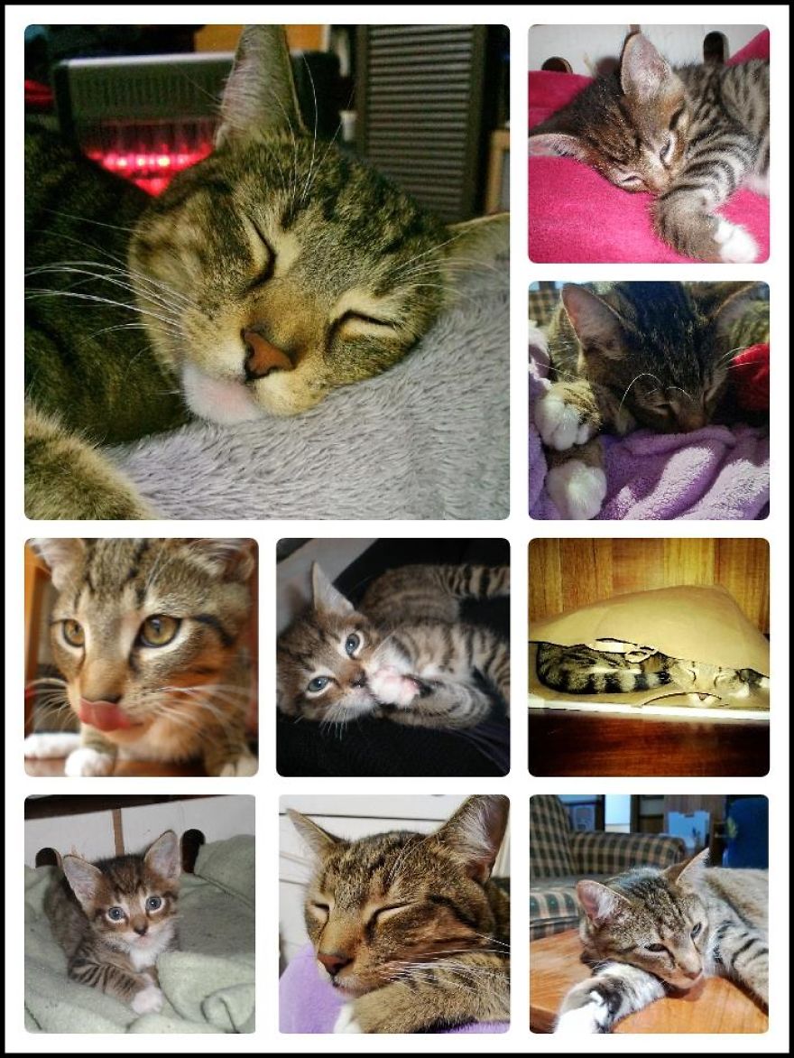 My Best Friend. My Best Friend.