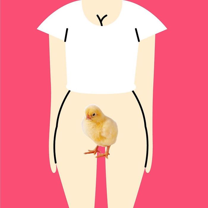 Poland - Cipka, Alias 'Chick'